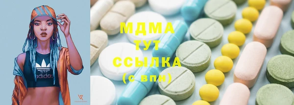 хмурый Абаза