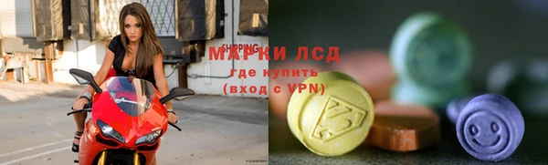 спайс Грязовец