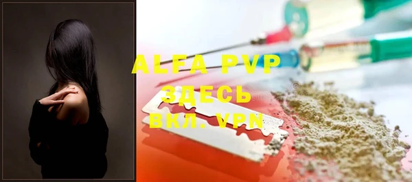 хмурый Абаза