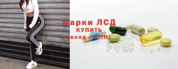 хмурый Абаза